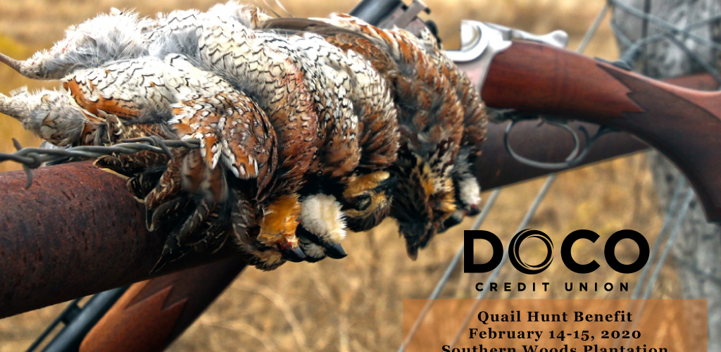 quail hunt