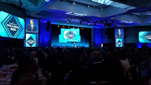 eggs and issuses stage