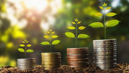 money growht in soil and tree concept , business success finance with sunshine in nature