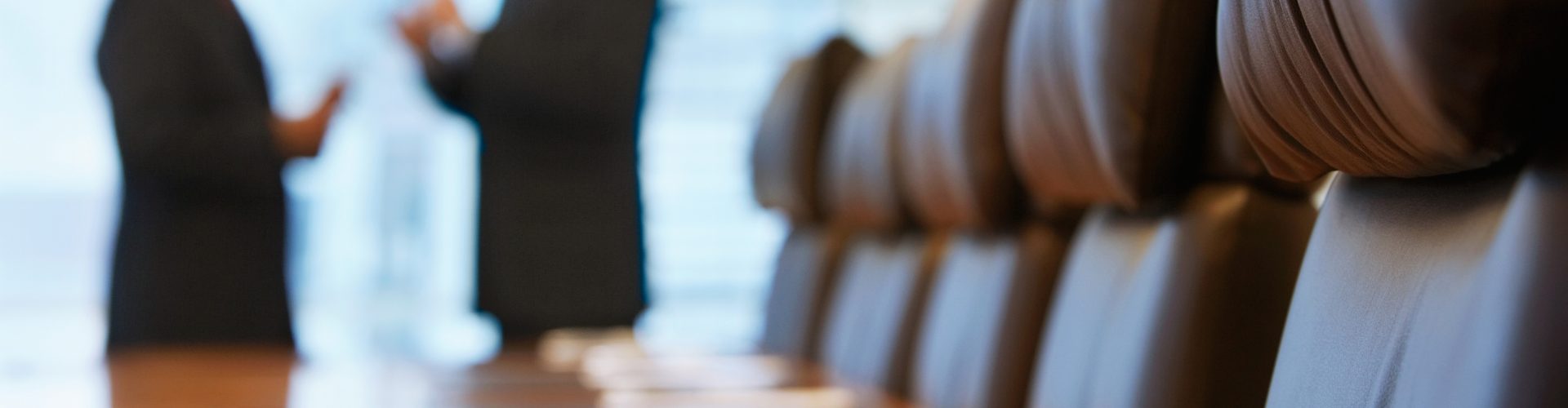 Side view of two blurred businessmen talking in conference room