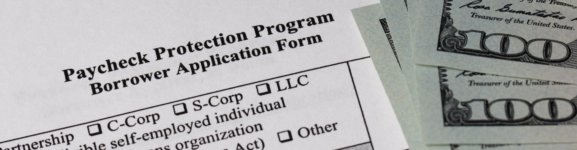 Paycheck Protection Program Borrower Application Form