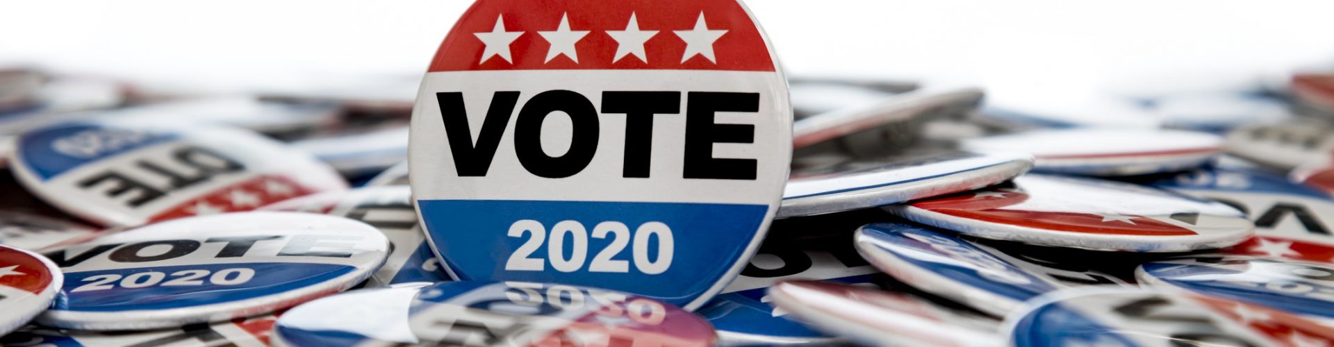 Get Out the Vote 2020 Presidential Voting Buttons