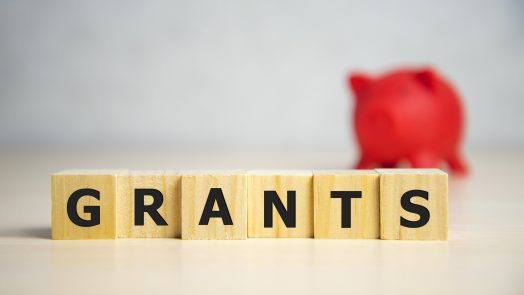 the word of GRANTS on building blocks concept