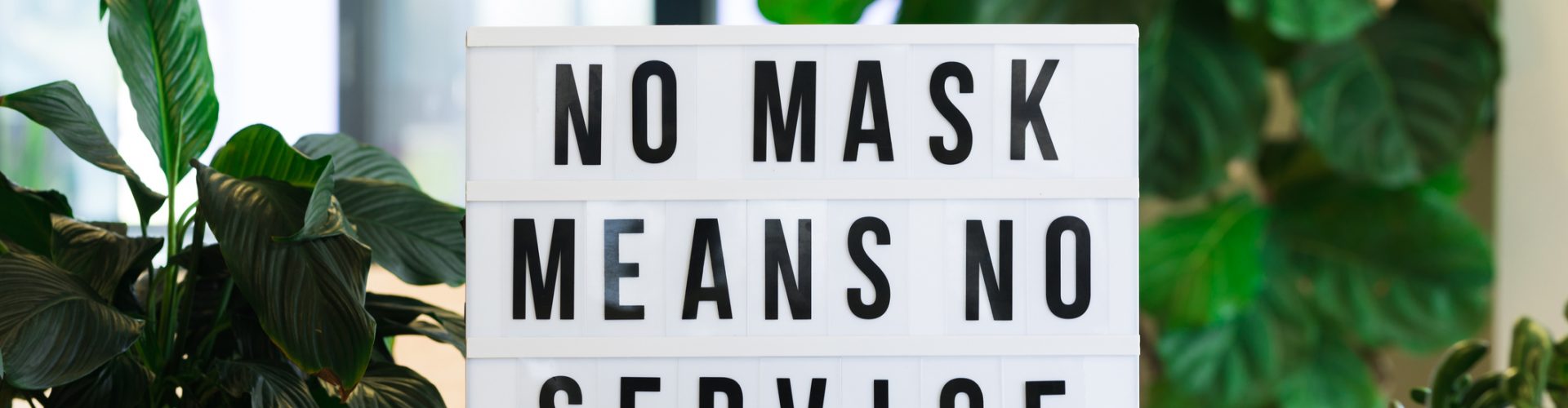 no mask no service